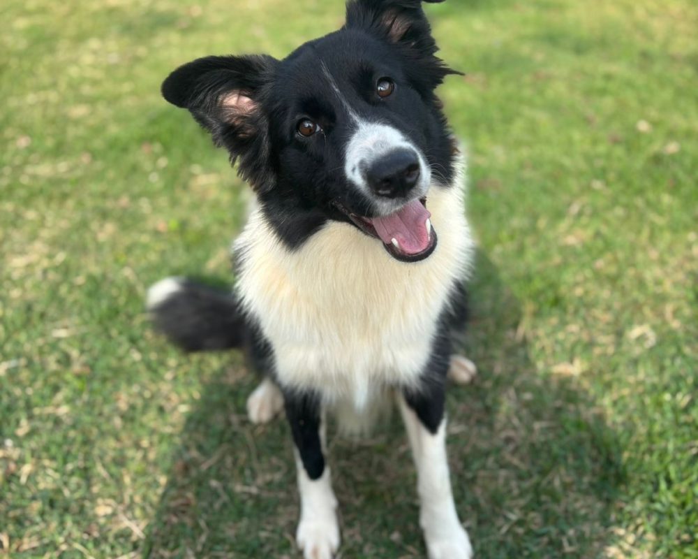 Zoe